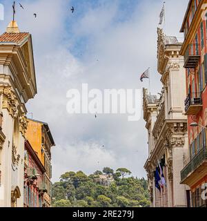 Schön und charmant im Hochsommer in brennender Hitze. Nice et ses charmes en plein coeur de l'été sous une chaleur caniculaire. Stockfoto