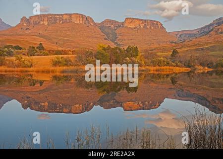 Malerische Reflexionen in einem Drakensberger See 15544 Stockfoto