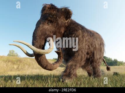 Eine 3D-Darstellung einer Woolly Mammoth, die über ein Grasfeld geht. Stockfoto