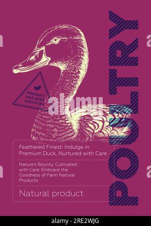 Poster von der Geflügelhandlung. Vintage Sketch Ente auf farbigem Hintergrund. Metzgermarkt-Promodruck. Schablone für kreative Typografie bei Fleischereietiketten. Plakat mit Fleisch aus dem Bauernhof. Gravur von Zeichnungen Stock Vektor