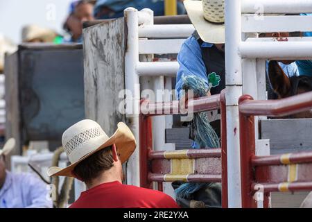 Reiten Sie mit dem Sattel beim Neyaskweyahk Native Classic Indian Rodeo. Maskwacis (Hobbema), Alberta, Kanada Stockfoto