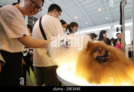 Die Kunming ASEAN Pets Exposition 6. beginnt am 22. Juli 2023 in Kunming City, Provinz Yunnan im Südwesten Chinas. Stockfoto