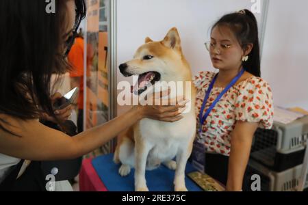 Die Kunming ASEAN Pets Exposition 6. beginnt am 22. Juli 2023 in Kunming City, Provinz Yunnan im Südwesten Chinas. Stockfoto