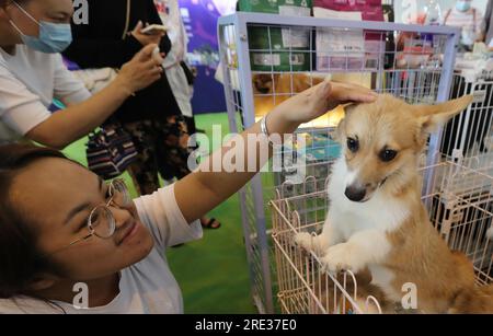 Die Kunming ASEAN Pets Exposition 6. beginnt am 22. Juli 2023 in Kunming City, Provinz Yunnan im Südwesten Chinas. Stockfoto