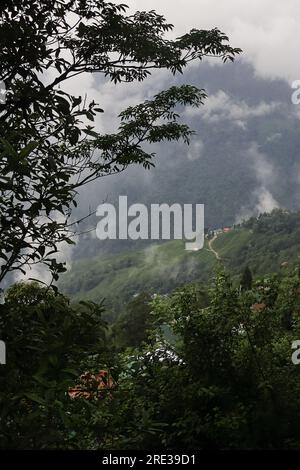 Monsunwolken schweben in der Monsunzeit am Himmel über den üppigen grünen Ausläufern des himalaya und dem Tal in der Nähe von darjeeling in westbengalen, indien Stockfoto