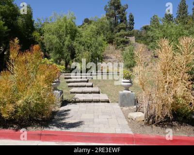 Beverly Hills, Kalifornien, USA 28. August 2021 Greystone Mansion & Gardens, The Doheny Estate am 28. August 2023 in Beverly Hills, Kalifornien, USA. Foto: Barry King/Alamy Stock Photo Stockfoto