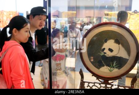 Besucher besuchen am 23. Juli 2023 im Suzhou Museum West in der Stadt Suzhou, der Provinz Jiangsu im Osten Chinas, eine Kunstausstellung mit Stickerei in Suzhou. Stockfoto