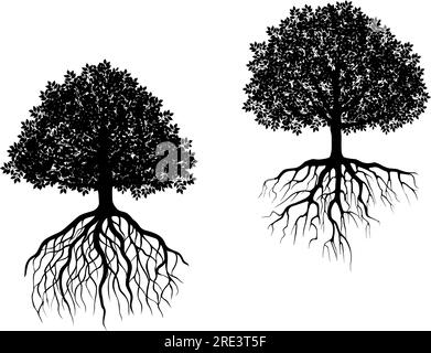 Zwei schwarz-weiße Vektorbäume mit verschiedenen Wurzelsystemen mit komplexen Faserwurzeln und unterschiedlich geformten Blattdächern Stock Vektor