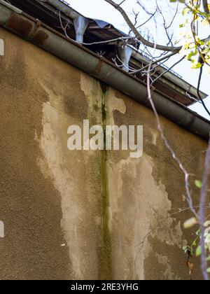 Wasserschaden an einer Gebäudefassade, verursacht durch die Dachrinne. Durch eine Leckage im Dach wurde der Wandputz nass, bis er abgefallen ist. Stockfoto