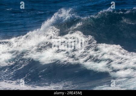 Wellen im Labrador-Meer in Grönland im Juli Stockfoto