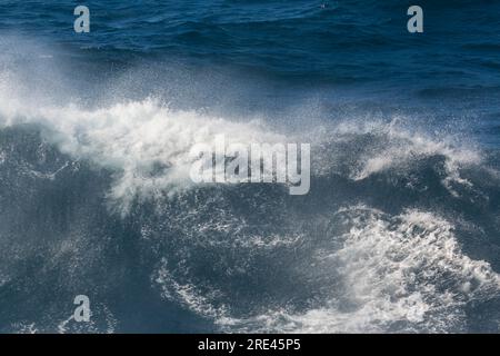 Wellen im Labrador-Meer in Grönland im Juli Stockfoto