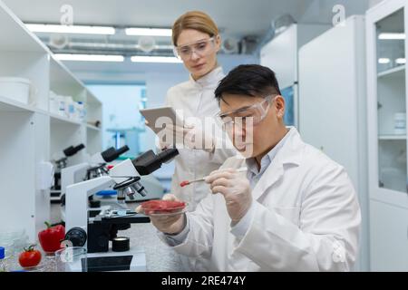 Ein männlicher Forscher im Labor untersucht Fleisch, ein Team von Wissenschaftlern führt Experimente mit künstlich angebauten Lebensmitteln durch, ein asiatischer Mann und eine Frau in weißen Kitteln testen Drogen. Stockfoto