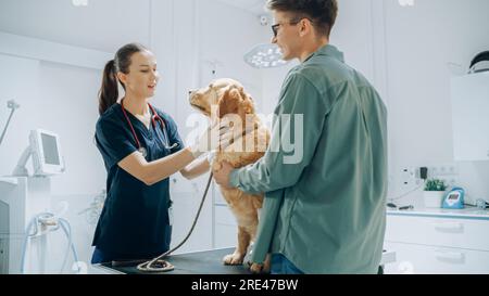 Kunde begleitet sein Haustier beim Arzttermin in der Tierklinik. Regelmäßiger Gesundheitscheck für Haustiere Stockfoto