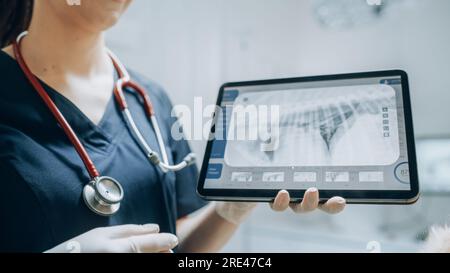 In einer modernen Tierklinik: Golden Retriever Haustier steht auf dem Untersuchungstisch, während eine Tierärztin die Gesundheit des Hundes auf einem Tablet beurteilt Stockfoto