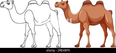 Eine Vektorgrafikfigur eines Kamels mit seinem Umriss zum Ausmalen Stock Vektor