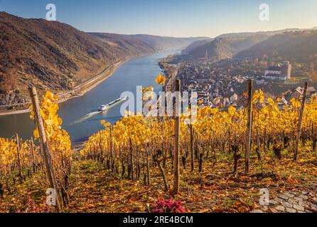 Geografie/Reise, Deutschland, Rheinland-Pfalz, Oberwesel, ZUSÄTZLICHE-RECHTE-FREIGABE-INFO-NICHT-VERFÜGBAR Stockfoto