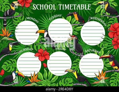 Kartoon-Tukanvögel-Aufklärungskalender. Wöchentliche Schülervorlage für Schüler mit tropischen Palmenblättern und Blumen. Zeitplanunterricht mit exotischen Dschungelhibiskusblüten und Tukanen Stock Vektor