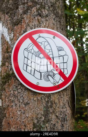 Schild zum Verbot der Pilzernte im Naturschutzgebiet Königsforst bei Köln Stockfoto