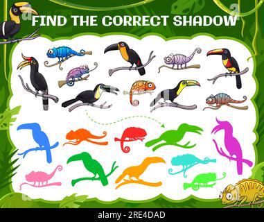 Finde den richtigen Schatten von Tukan und Chamäleon, Vektorspiel für Kinder oder Tischrätsel. In den Dschungelpalmen, dem Cartoon-Brettspiel für Kinder, findet ihr die gleiche Silhouette aus tropischen Vögeln und exotischen Reptilien Stock Vektor
