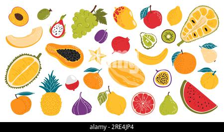 Biologisch reife rohe Früchte. Flache Wassermelone, Grapefruit und Pfirsich, Melone, Drachenfrucht und Papaya, Pflaume, Mango und Granatäpfel, Zitronen-, Kiwi- und Sternfrüchte, Ananas, Feigen und Mangostanfrüchte, Jackfrüchte Stock Vektor
