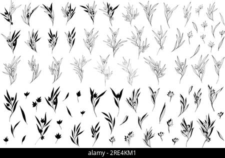 Große Silhouetten botanische Äste, Blätter, Blumen. Abstrakte Linienart-Komposition mit minimalen blumigen Elementen von Kräutern. Vektordarstellung für Stock Vektor