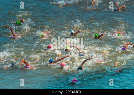 „Die Finals 2023" Triathlon Düsseldorf – Schwimmwettkampf Stockfoto