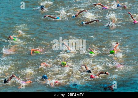 „Die Finals 2023" Triathlon Düsseldorf – Schwimmwettkampf Stockfoto