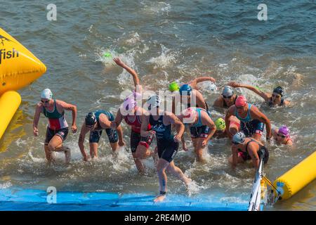 „Die Finals 2023" Triathlon Düsseldorf – Schwimmwettkampf Stockfoto