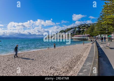 Wellington, Neuseeland - 12. Mai 2023: Menschen am Oriental Bay Beach in Wellington, Neuseeland. Stockfoto