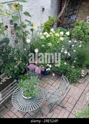 Innenhof-Garten im Innenhof der Stadt im Hochsommer Stockfoto