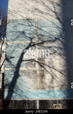 Baumschatten auf dem Gebäude. Sonnenschatten an der Wand. Silhouette eines großen Baumes. Die Wand des Hauses. Stockfoto