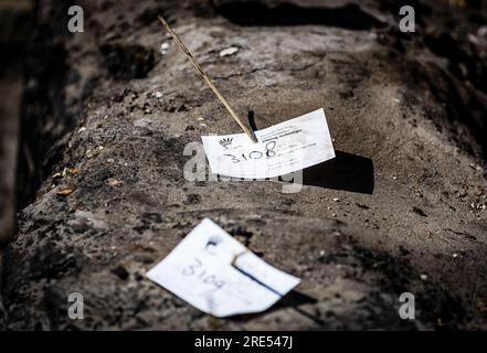 DEN HAAG - 25/07/2023, Archäologen führen archäologische Untersuchungen in der Gruft unter der ehemaligen Hofkapel während der Renovierung des Binnenhof durch. Der Gebäudekomplex wird derzeit umfassend renoviert. Während der Arbeit wurden drei Leichen gefunden. ANP REMKO DE WAAL niederlande raus - belgien raus Stockfoto