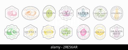 Logo-Vorlagenkollektion Für „Fruits Frame“-Abzeichen. Handgezeichnete Früchte und Beeren zeichnen mit Retro Typography in einem Vintage-Rahmen. Veganes Speisekonzept Stock Vektor