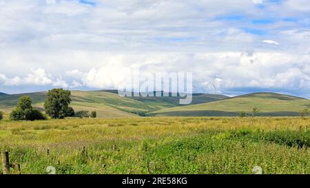 Sommerblick über eine schottische Landschaft mit einer Windfarm auf dem Gipfel der fernen Hügel Stockfoto