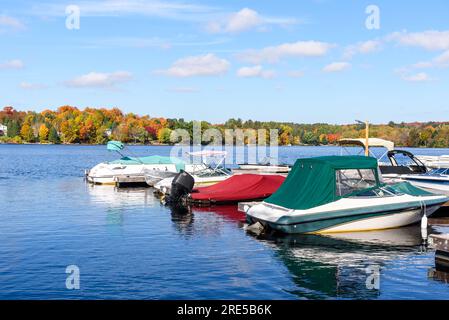 Boote, die an hölzernen Stegen in einem kleinen Hafen an einem See gefesselt sind, umgeben von Wäldern auf dem Gipfel der Herbstfarben Stockfoto