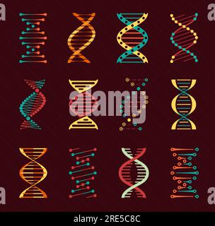 DNA-Vektorsymbole mit Helices menschlicher Gene. Genetische Molekülspirale isolierte Symbole von Wissenschaft, Biologie, Biotechnologie und Medizin. DNA-Helix-Stränge mit abstrakten Chromosomenketten, Zellen Stock Vektor