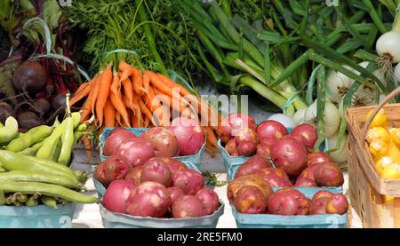 Der Gemüsestand der Amish im Westen von New York ist voll mit frischen Produkten aus dem Garten. Grüne Bohnen, Frühkartoffeln, Kürbis, Karotten, Rüben und Zwiebeln. Stockfoto