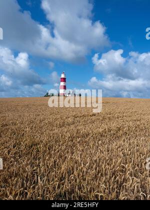 Ein Feld mit reifendem Weizen und Light House Happisburgh Norfolk UK Stockfoto