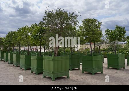 Paris, Frankreich - 13. Juli 2023 - der Tuileriengarten in Paris im Sommer Stockfoto