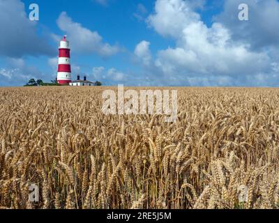 Ein Feld mit reifendem Weizen und Light House Happisburgh Norfolk UK Stockfoto