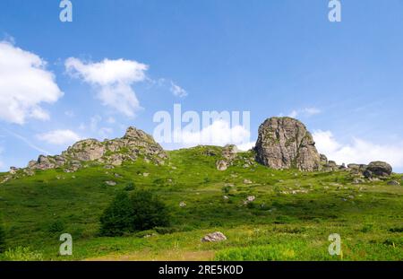 Tauchen Sie ein in die atemberaubende Symphonie der Pracht der Natur, wo majestätische Berggipfel den Himmel berühren, üppige Täler in Ruhe wiegen und Stockfoto