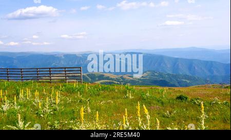 Tauchen Sie ein in die atemberaubende Symphonie der Pracht der Natur, wo majestätische Berggipfel den Himmel berühren, üppige Täler in Ruhe wiegen und Stockfoto