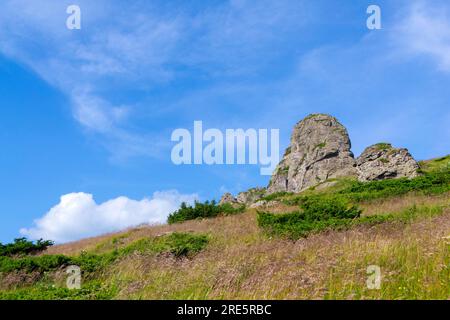 Tauchen Sie ein in die atemberaubende Symphonie der Pracht der Natur, wo majestätische Berggipfel den Himmel berühren, üppige Täler in Ruhe wiegen und Stockfoto