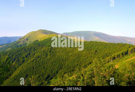 Tauchen Sie ein in die atemberaubende Symphonie der Pracht der Natur, wo majestätische Berggipfel den Himmel berühren, üppige Täler in Ruhe wiegen und Stockfoto