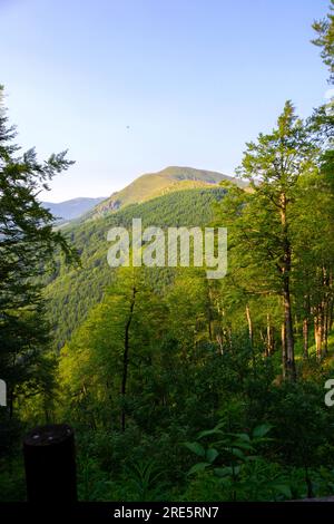 Tauchen Sie ein in die atemberaubende Symphonie der Pracht der Natur, wo majestätische Berggipfel den Himmel berühren, üppige Täler in Ruhe wiegen und Stockfoto