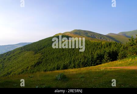 Tauchen Sie ein in die atemberaubende Symphonie der Pracht der Natur, wo majestätische Berggipfel den Himmel berühren, üppige Täler in Ruhe wiegen und Stockfoto