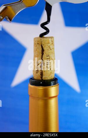 Chilenischer Wein und Hintergrundflagge Stockfoto