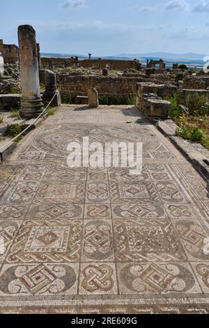 Antikes römisches Mosaik in Volubilis Stockfoto