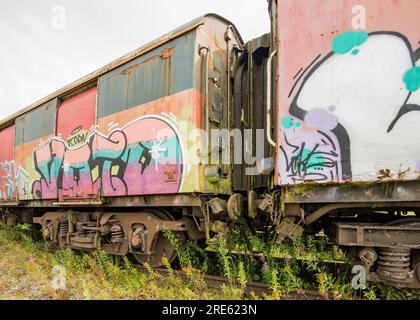 Verlassene und sich verschlechternde Eisenbahnwaggons am Hellifield Bahnhof in North Yorkshire Stockfoto