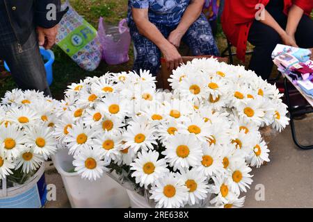 Moskau, Russland - Juli 21. 2023. Rentner verkaufen Blumen in der Nähe des Bahnhofs Kryukovo Stockfoto